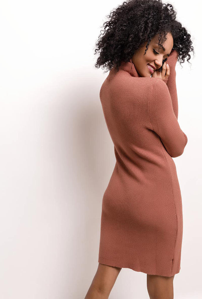 Rust Knit Dress With Turtleneck