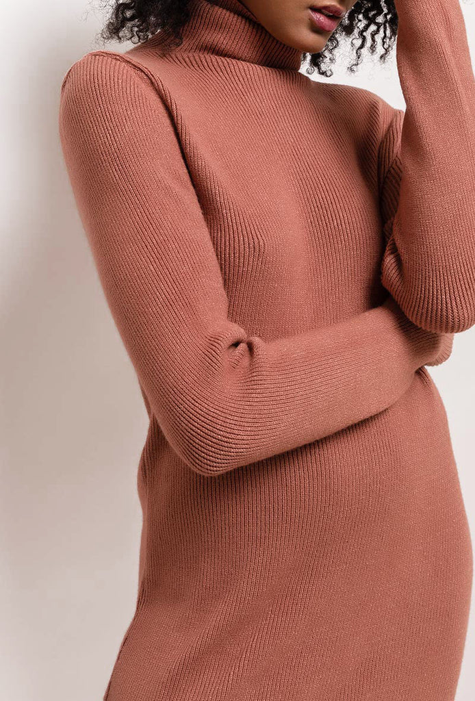 Rust Knit Dress With Turtleneck